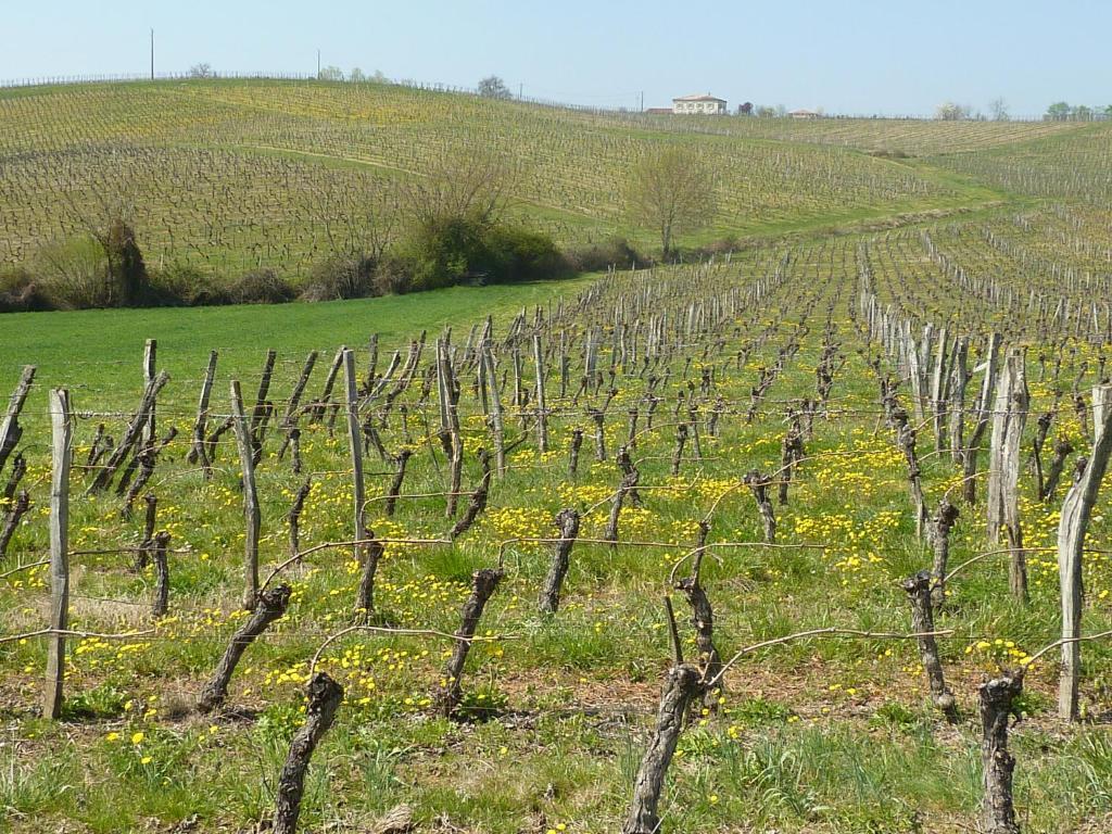 مبيت وإفطار Le Mas-dʼAgenais Le Dormeur Du Val المظهر الخارجي الصورة